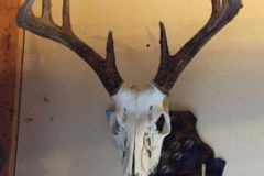 Head-with-metal-sign-RAW-Metal Works